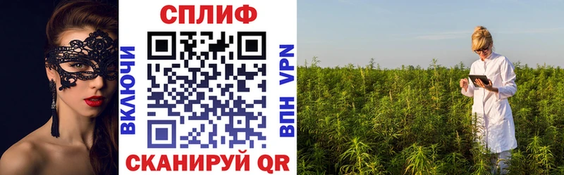 Метадон Плёс