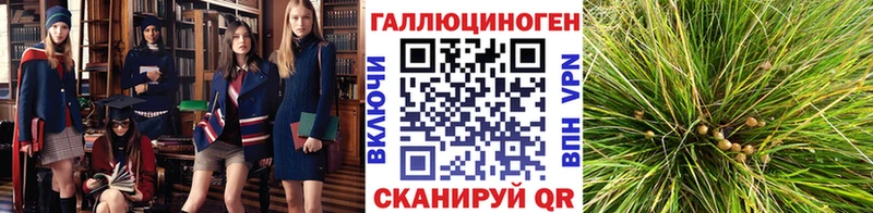 Купить закладки  Плёс  Псилоцибиновые грибы Magic Shrooms 